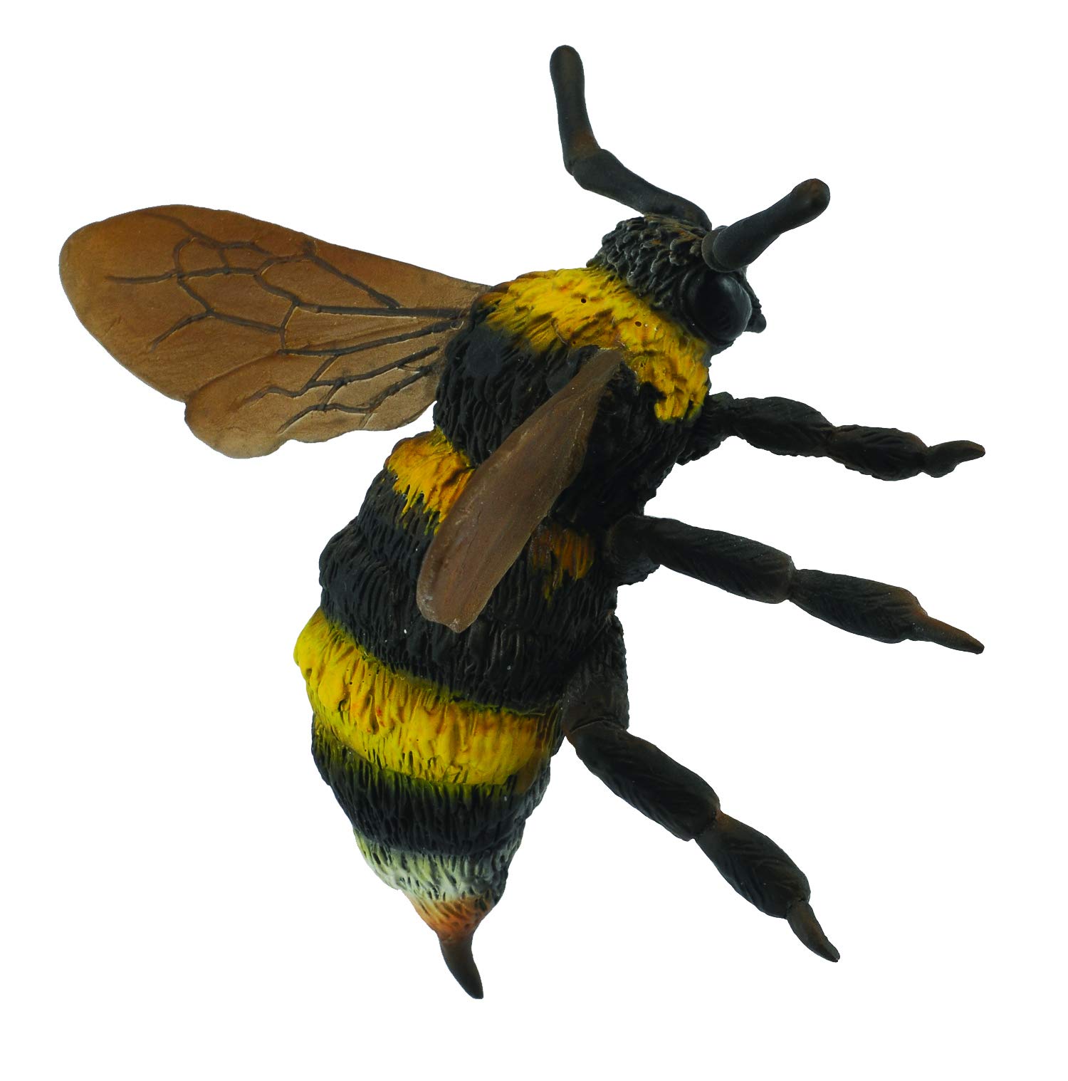COLLECTA ハチ g6bh9ry Amazon.co.jp: CollectA (コレクタ) マルハナバチ バンブルビー